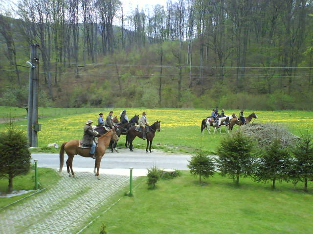 DSC00801.JPG