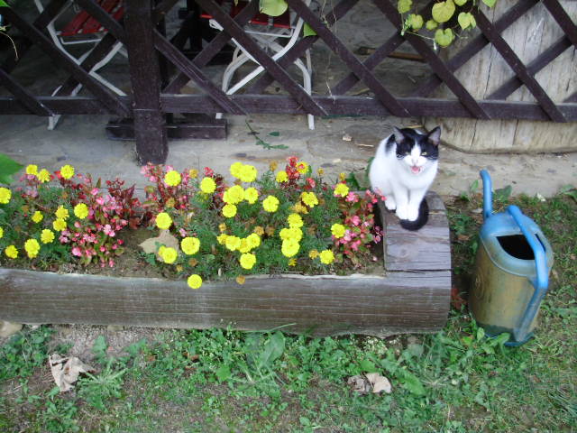 horácio 095.jpg