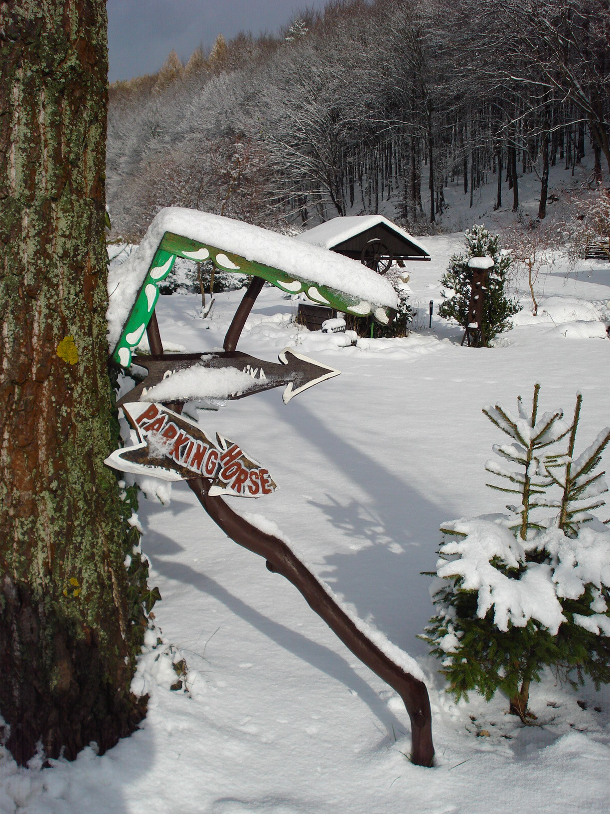 DSC00889.jpg