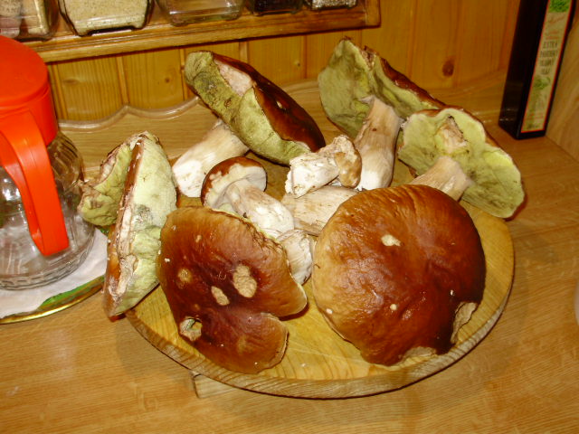 horácio 098.jpg