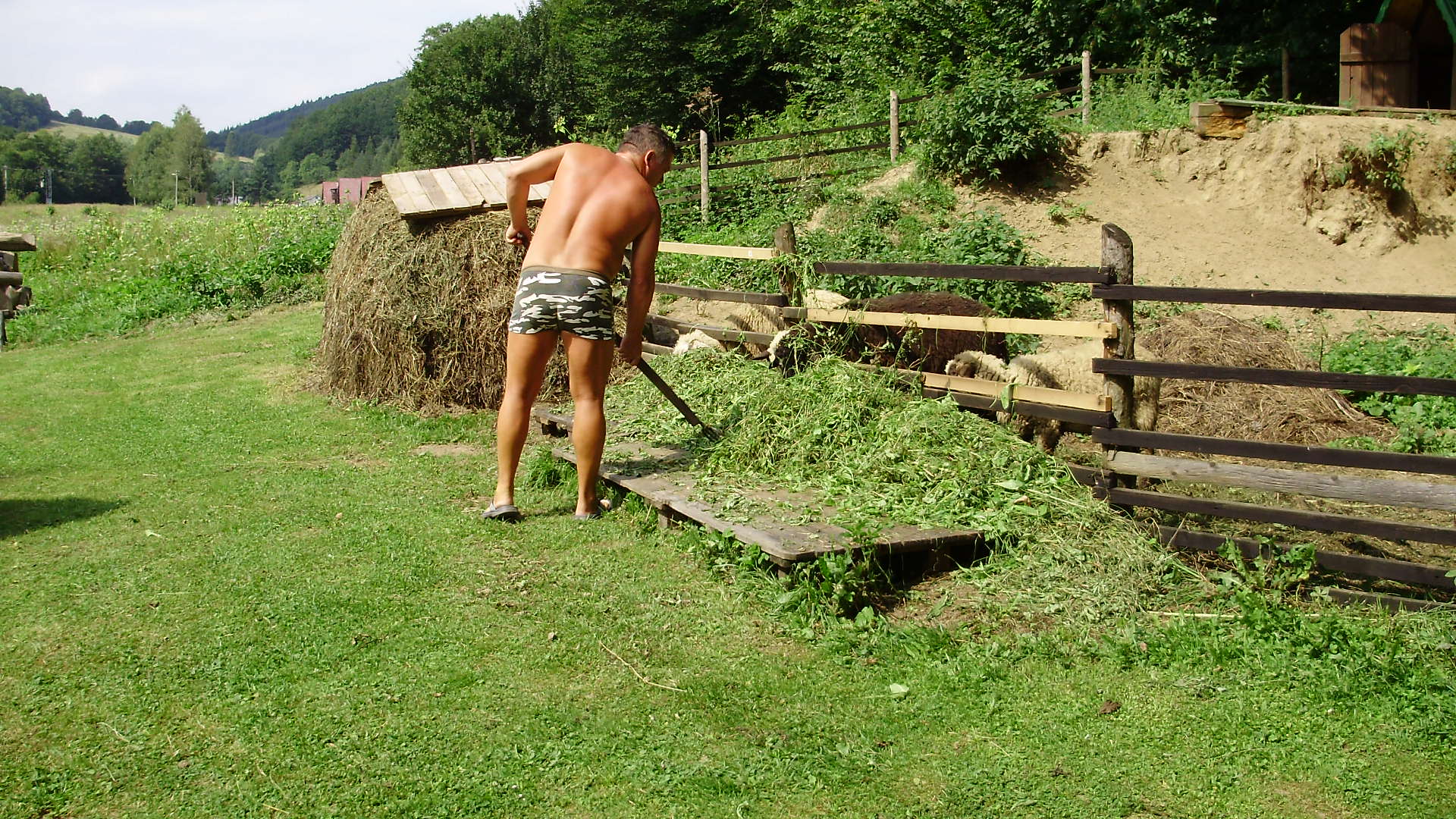 P1010025.JPG